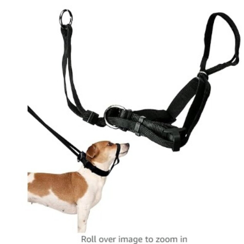 Sporn Medium Dog Head Halter for Dogs